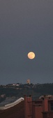 Enlarge photo 173