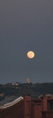 Enlarge photo 174