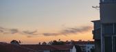 Enlarge photo 175