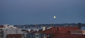 Enlarge photo 177