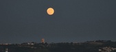 Enlarge photo 179