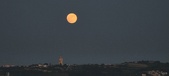 Enlarge photo 180