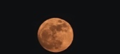 Enlarge photo 181