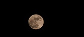 Enlarge photo 192