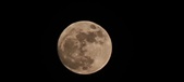 Enlarge photo 193