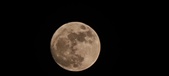 Enlarge photo 194