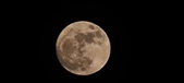 Enlarge photo 195