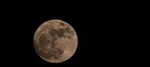 Enlarge photo 196