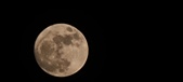Enlarge photo 197