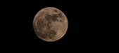 Enlarge photo 198
