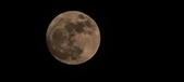 Enlarge photo 199