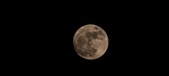 Enlarge photo 201