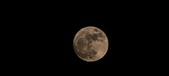 Enlarge photo 202