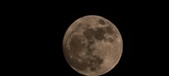 Enlarge photo 203