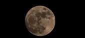 Enlarge photo 204
