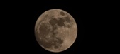 Enlarge photo 205