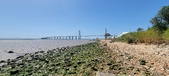 Enlarge photo 35