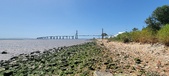 Enlarge photo 36