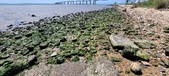 Enlarge photo 37