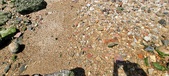 Enlarge photo 38
