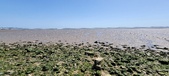 Enlarge photo 39