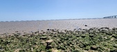 Enlarge photo 40
