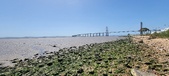 Enlarge photo 41