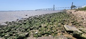 Enlarge photo 42