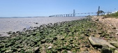 Enlarge photo 43