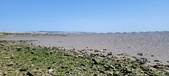Enlarge photo 44