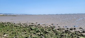 Enlarge photo 45