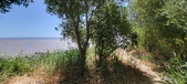 Enlarge photo 46
