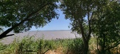 Enlarge photo 47