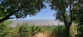 Enlarge photo 48