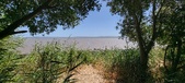 Enlarge photo 49