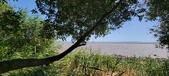 Enlarge photo 50