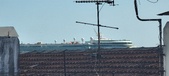 Enlarge photo 62