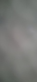 Enlarge photo 214