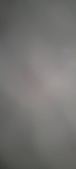 Enlarge photo 215