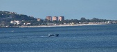 Enlarge photo 69