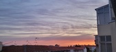 Enlarge photo 65