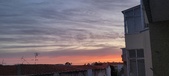 Enlarge photo 66
