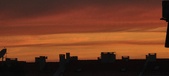 Enlarge photo 69