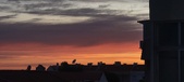 Enlarge photo 68