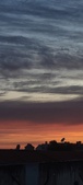 Enlarge photo 67
