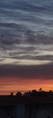 Enlarge photo 71