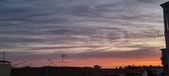 Enlarge photo 74