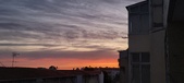 Enlarge photo 77