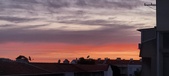 Enlarge photo 75