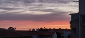Enlarge photo 79
